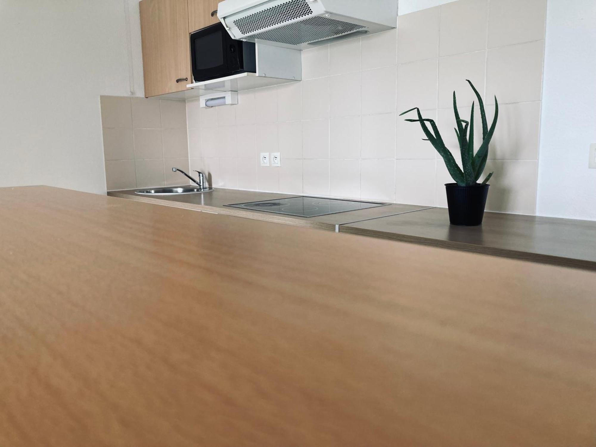 Apartment T3 Zenith
