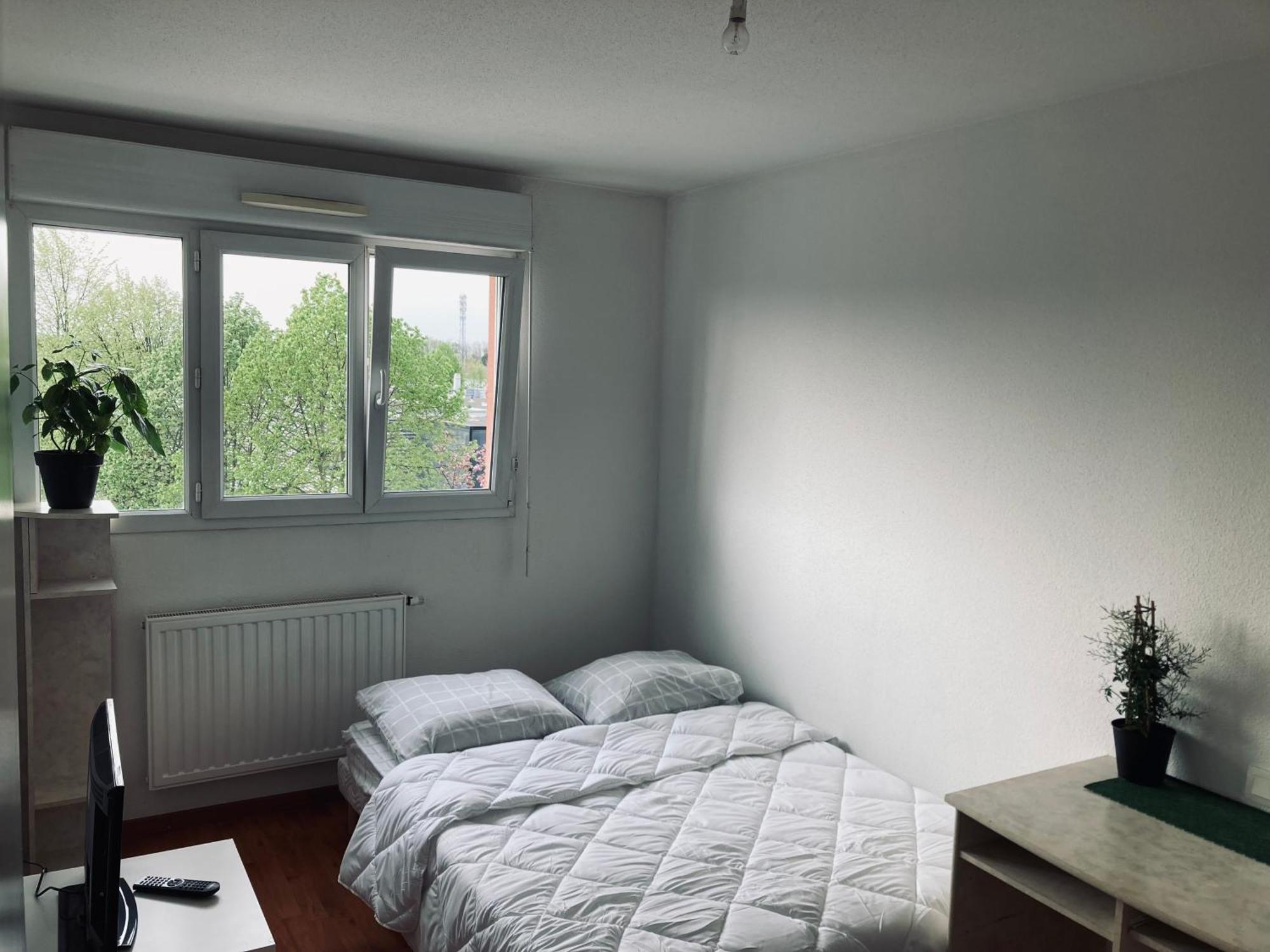 Appartement T3 Zenith
